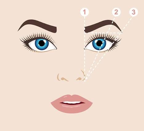 Automatic Eyebrow Pencil